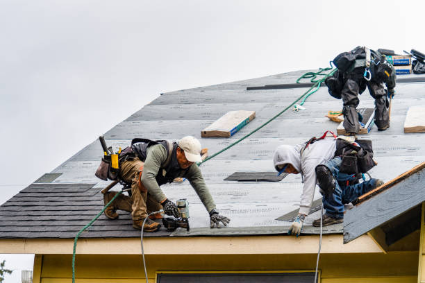 Professional Gutter Installation technician working in DeKalb, IL
